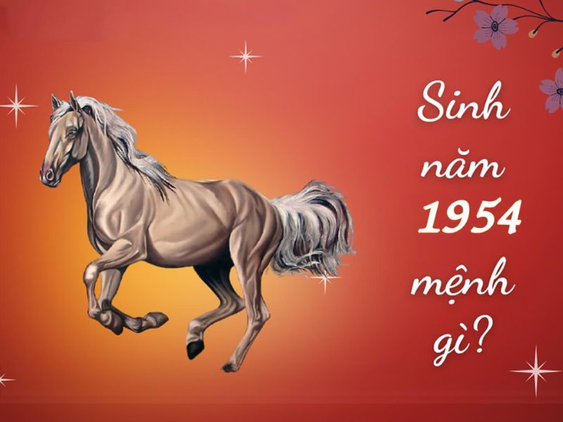 Sinh năm 1954 mệnh gì? Hợp tuổi, màu và hướng phong thuỷ nào nhất?