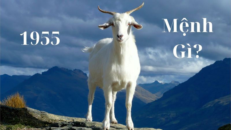 Sinh năm 1955 mệnh gì? Hợp tuổi, hướng và màu phong thủy nào