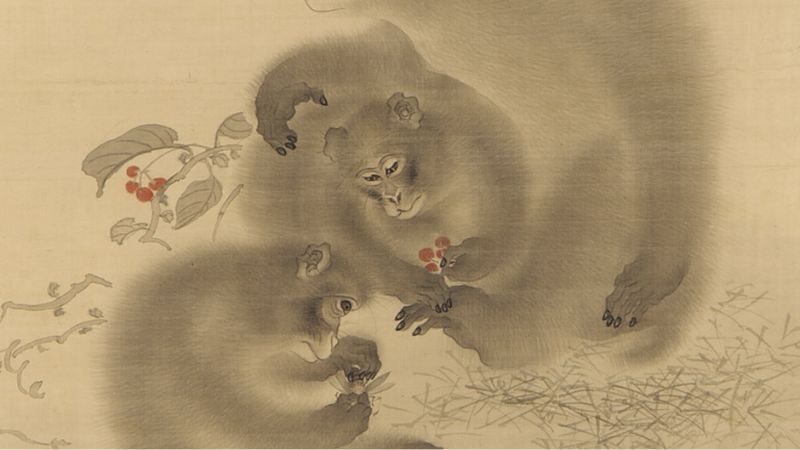 1956 mệnh gì? Tuổi Bính Thân 1956 hợp màu, hướng, tuổi nào