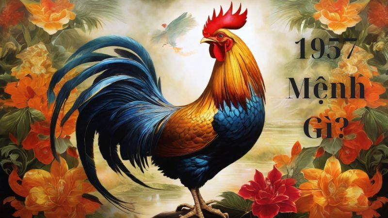 Sinh năm 1957 mệnh gì? Tổng quan vận mệnh tuổi Đinh Dậu