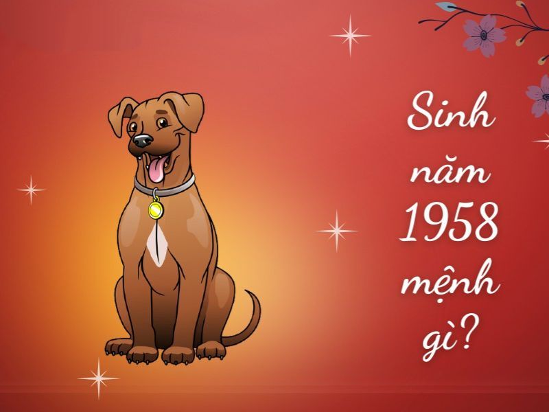 1958 Mệnh Gì? Giải mã phong thuỷ và vận mệnh tuổi Mậu Tuất đầy đủ nhất
