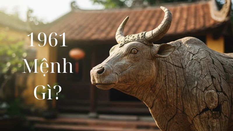 Sinh năm 1961 mệnh gì? Hợp hướng, màu và tuổi phong thủy nào