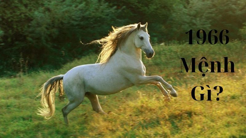 1966 mệnh gì? Giải mã tuổi Bính Ngọ về mệnh và phong thủy
