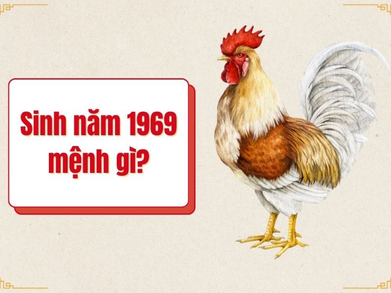 Sinh năm 1969 mệnh gì? Hợp màu, hướng và tuổi nào nhất?