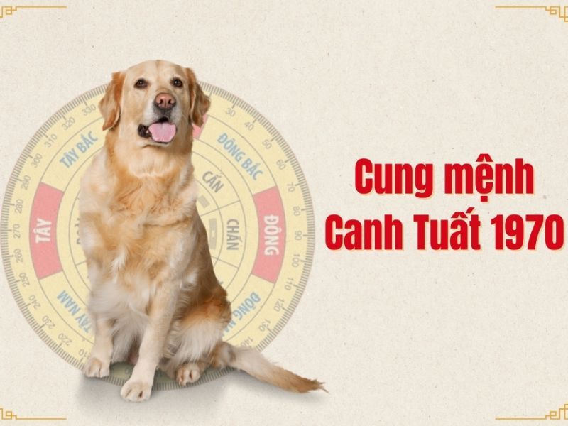 1970 mệnh gì? Giải mã tất tần tật phong thủy tuổi Canh Tuất