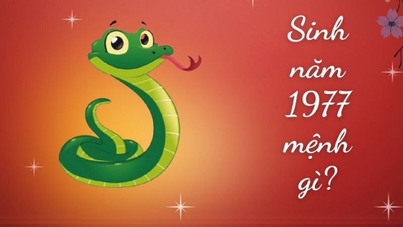 1977 mệnh gì? Tuổi Đinh Tỵ hợp tuổi, màu, nghề nào?