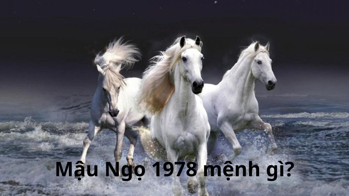 1978 mệnh gì? Bí ẩn Thiên Thượng Hỏa và vận mệnh tuổi Mậu Ngọ
