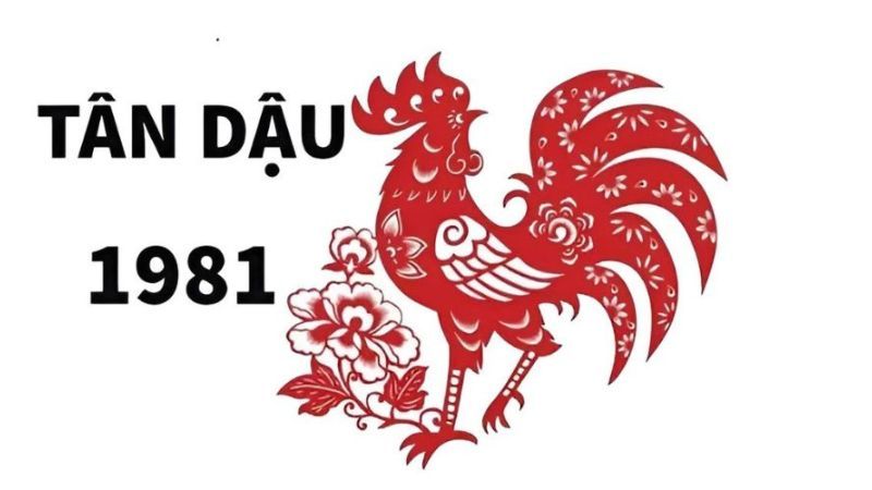 Sinh năm 1981 mệnh gì? Năm nay bao nhiêu tuổi, có thuận lợi không?