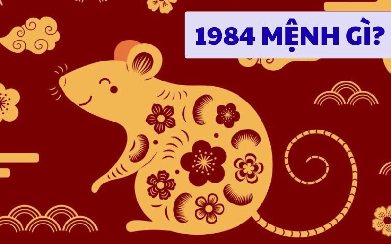 Sinh năm 1984 mệnh gì, cung gì? Tuổi hợp làm ăn, kết hôn