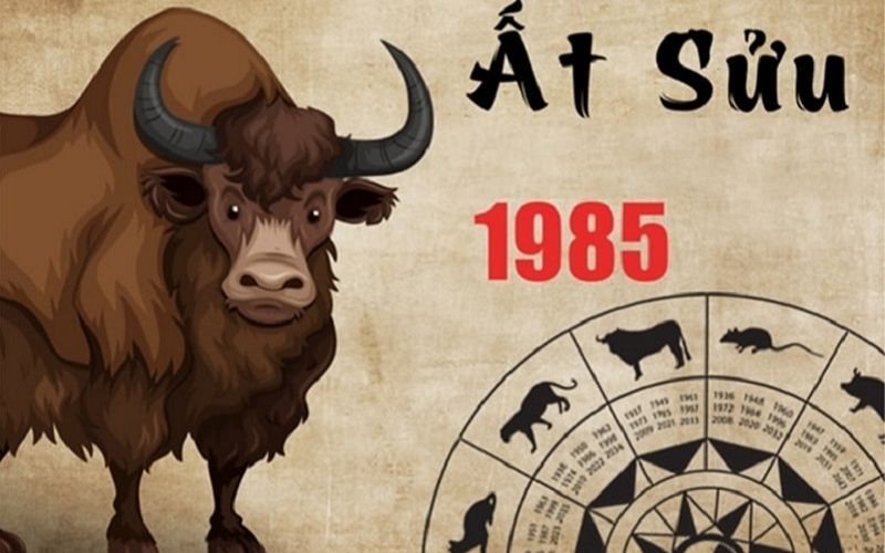 Nam, nữ tuổi Ất Sửu 1985 mệnh gì, hợp màu và công việc gì?