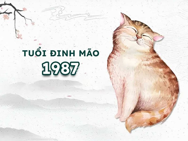 Tuổi Đinh Mão 1987 mệnh gì, hợp màu gì, nên làm nghề nào để phát triển?