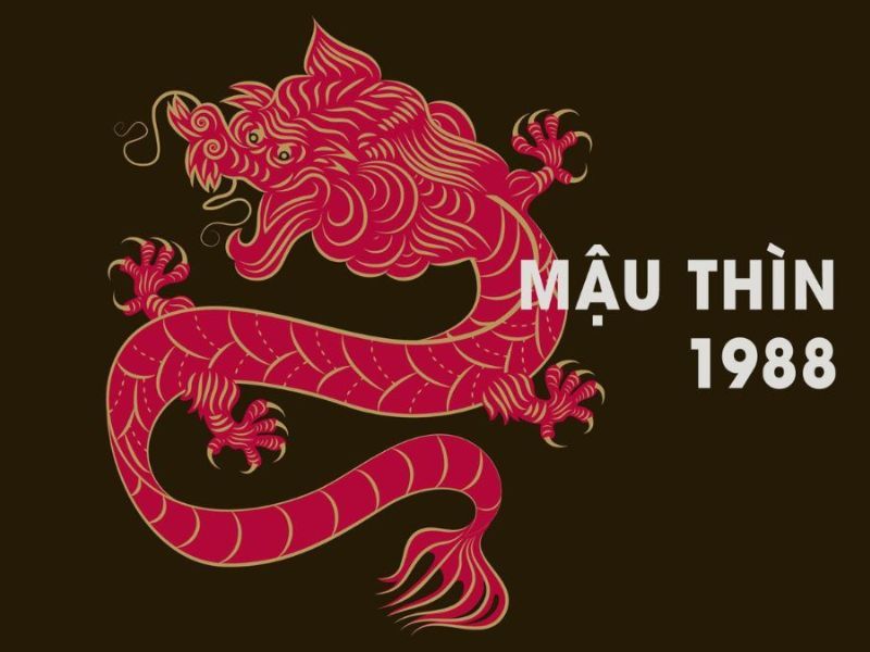 1988 mệnh gì? Tuổi Mậu Thìn hợp tuổi, hợp nghề gì theo phong thủy?
