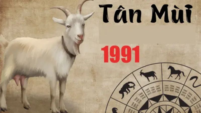 Sinh năm 1991 mệnh gì? Giải mã vận mệnh, màu và tuổi hợp Tân Mùi