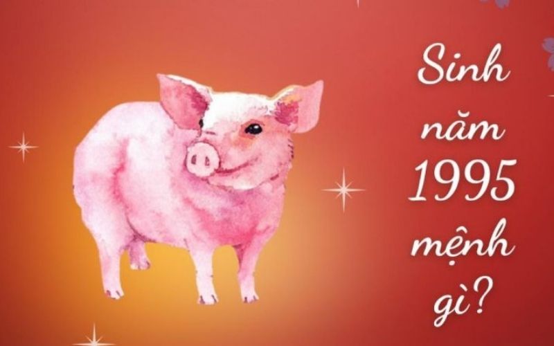 Ất Hợi 1995 mệnh gì? Hợp với tuổi nào? Màu gì?