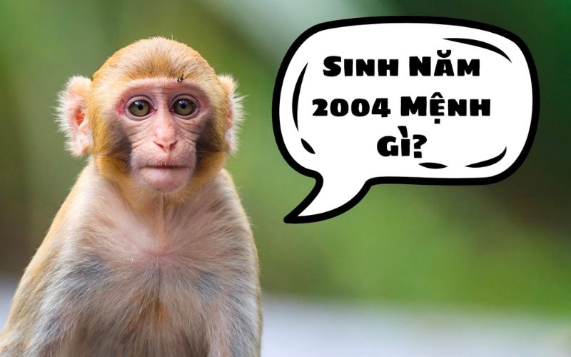 2004 Mệnh Gì