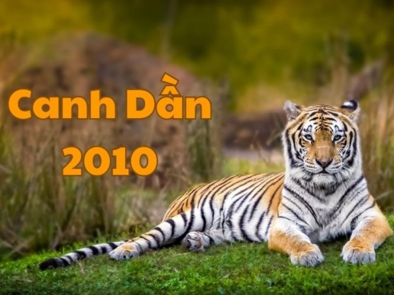 Sinh năm 2010 mệnh gì? Tuổi Canh Dần hợp màu, hướng, tuổi nào nhất