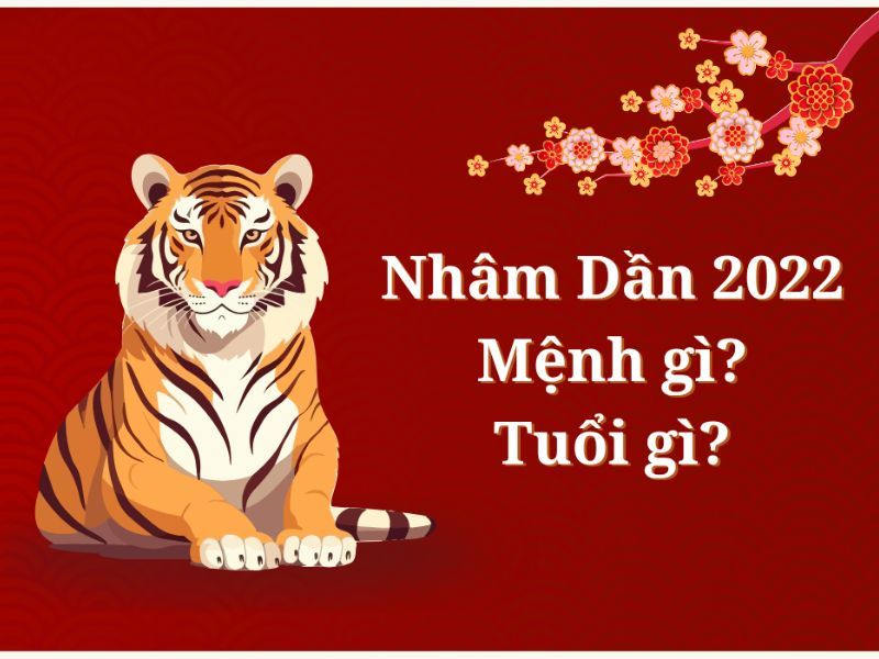 Sinh năm 2022 mệnh gì? Màu hợp, tuổi hợp và hướng tốt tuổi Nhâm Dần 