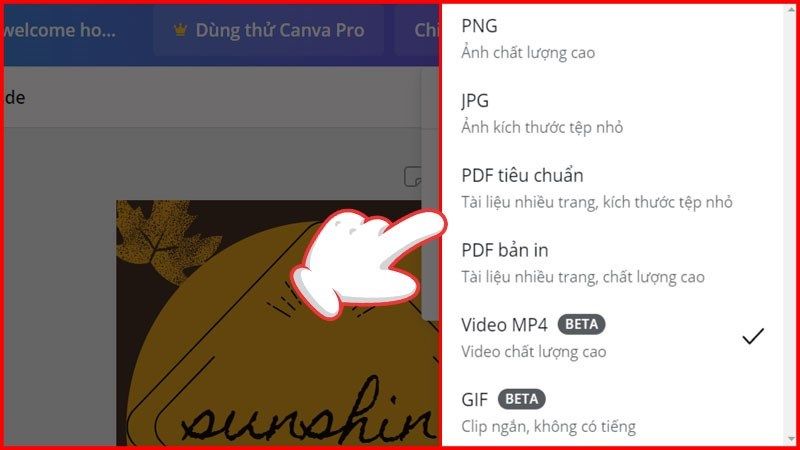 Chọn định dạng phù hợp (Ảnh: internet)
