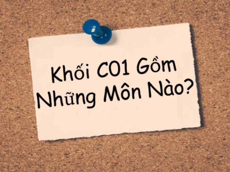 Khối C01 gồm môn gì, học ngành gì và ra trường làm gì?