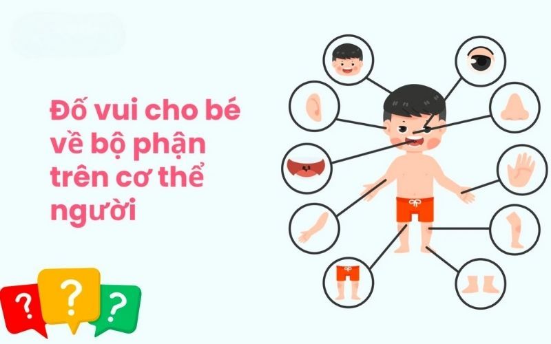 Đố vui: con gì càng to càng nhỏ?