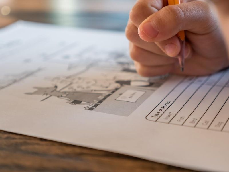 Chứng chỉ PET là gì? Thông tin chi tiết & lộ trình thi 2026