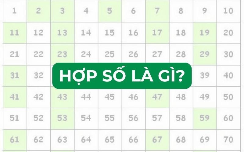 Hợp Số Là Gì? Định Nghĩa, Ví Dụ, Cách Nhận Biết Và Ứng Dụng