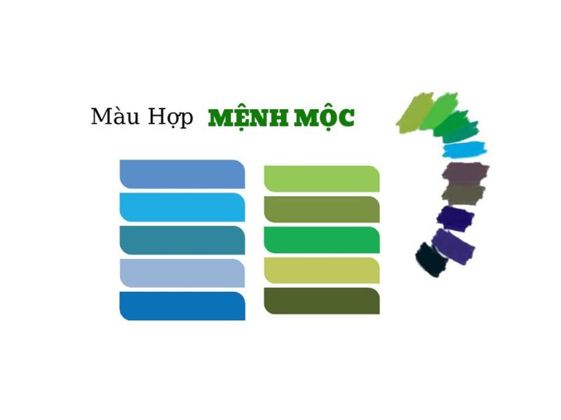 Mệnh Mộc hợp màu gì? Bí quyết thu hút may mắn và tài lộc