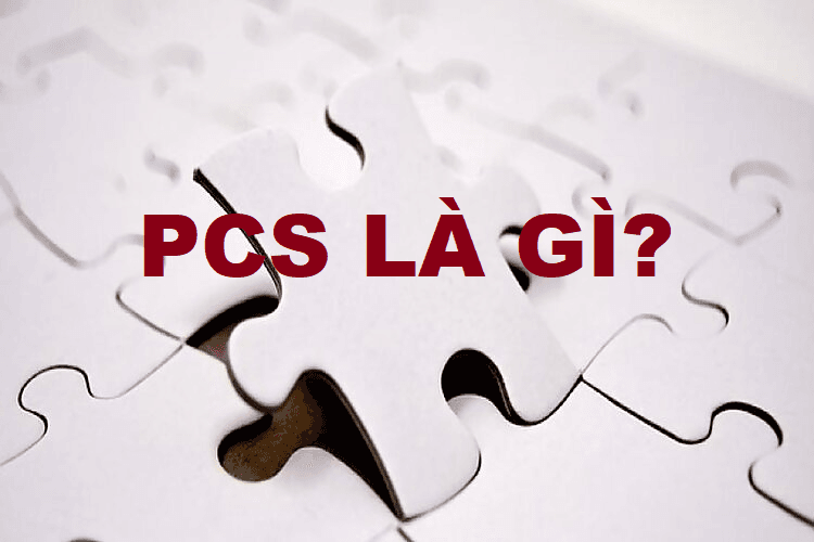 PCS là gì? Các ý nghĩa PCS trong từng lĩnh vực
