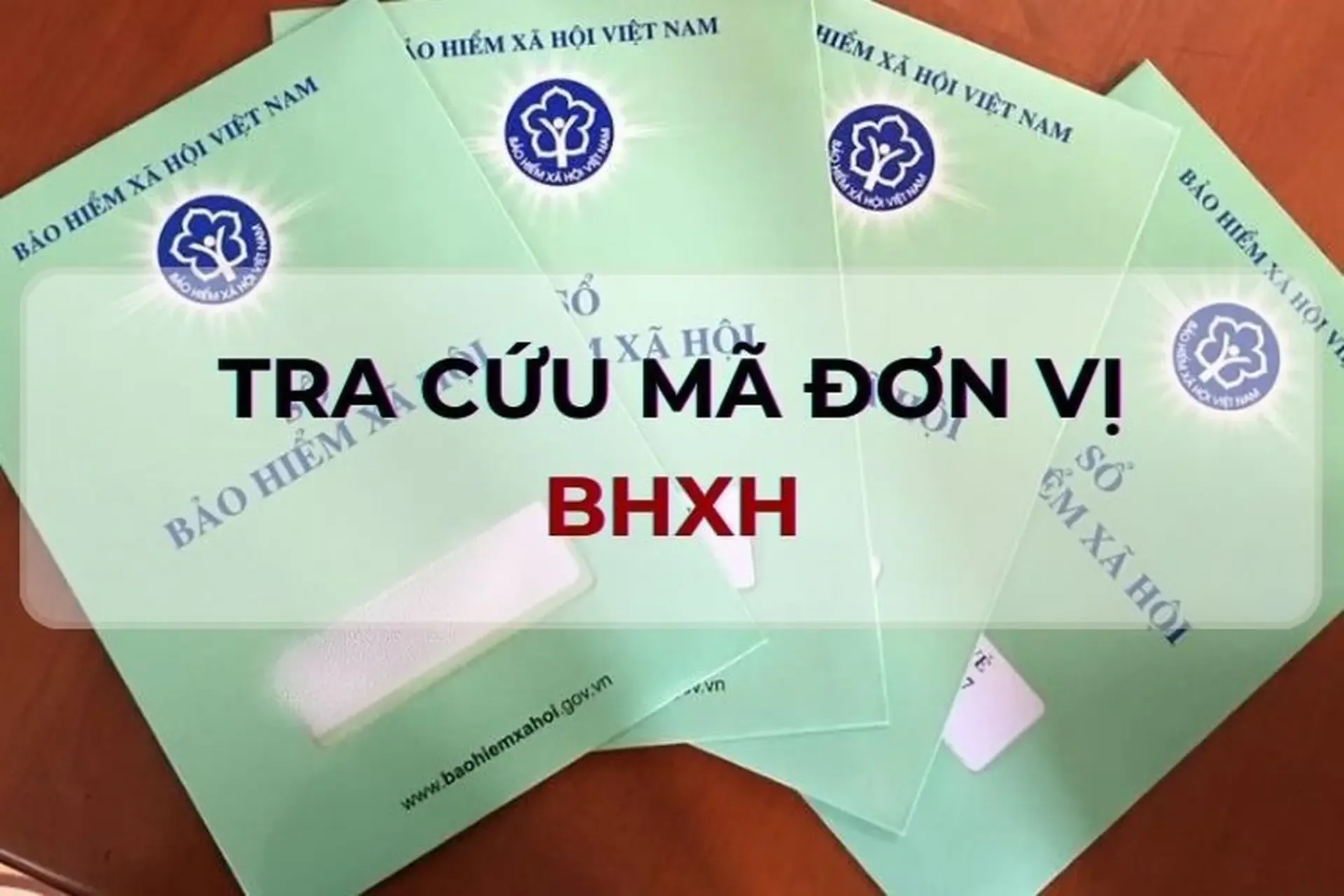 Hướng dẫn cách tra cứu mã đơn vị BHXH nhanh và chính xác